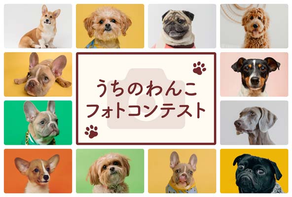 うちのわんこフォトコンテストバナー制作