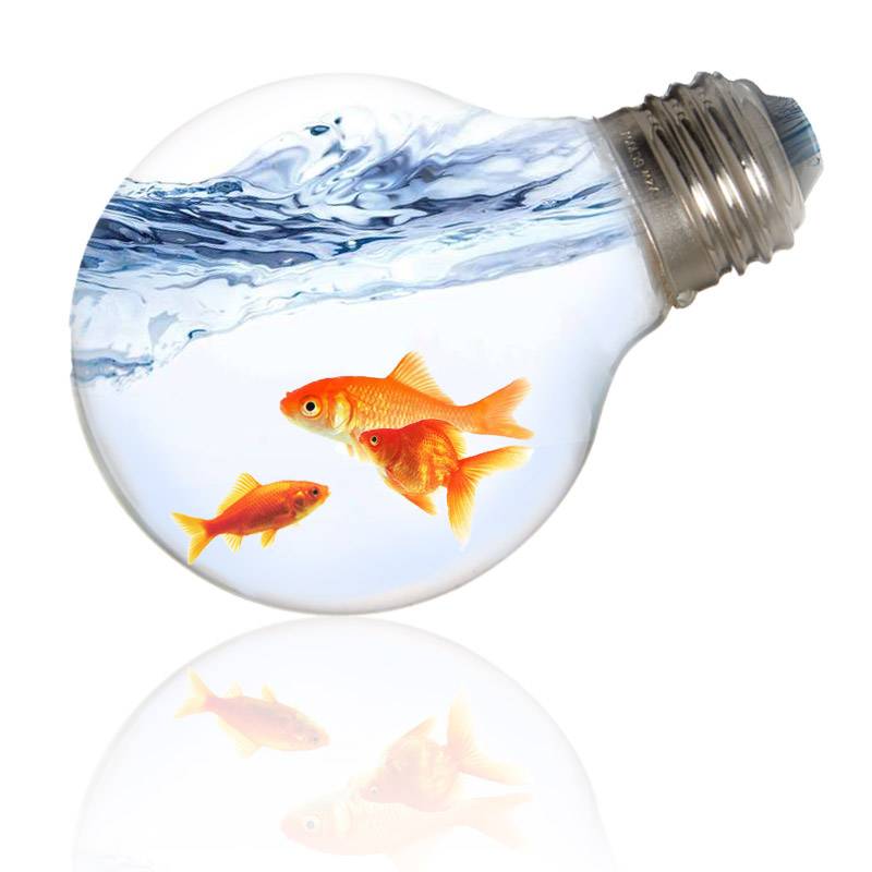 写真の合成テクニック